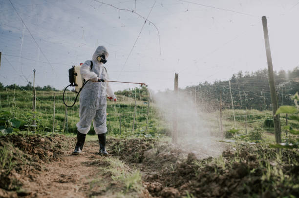 Best Mosquito Control Services  in Roosevelt, UT
