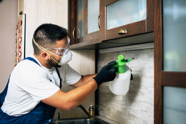Best Pest Inspection Near Me  in Roosevelt, UT