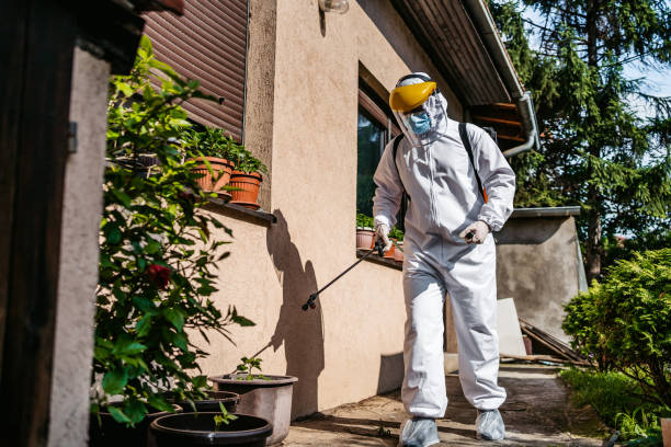 Best Cockroach Control Services  in Roosevelt, UT