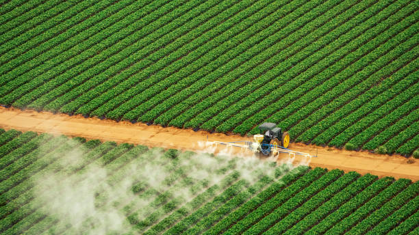 Best Termite Control Services  in Roosevelt, UT