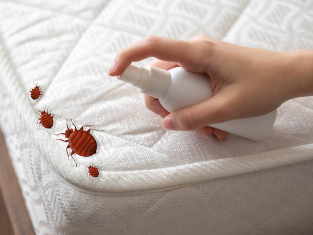 Best Commercial Pest Control Services  in Roosevelt, UT