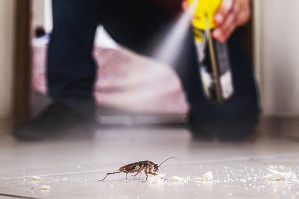 Best Best Pest Control Companies  in Roosevelt, UT