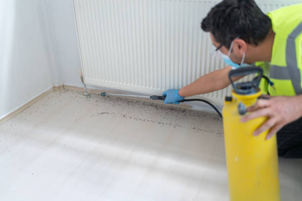 Best Pest Prevention Services  in Roosevelt, UT