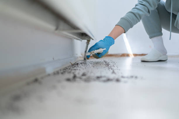 Best Residential Pest Control  in Roosevelt, UT