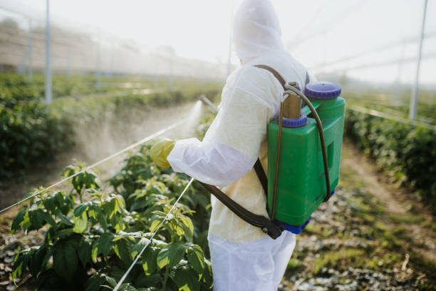 Wasp Removal Services in Roosevelt, UT